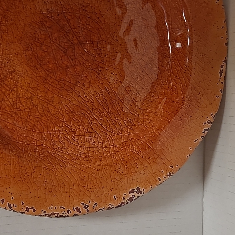 NWT Pair of Pier 1 Carmelo Melamine Plates - Picture 5 of 15